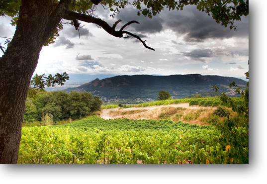 Le terroir du SaintPeray, Ardeche, France