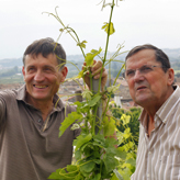 Domaine Alain Voge, AOC Saint-Péray